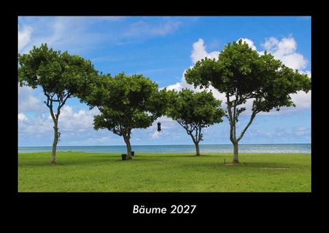 Bäume 2027 Fotokalender DIN A3