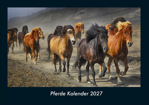 Pferde Kalender 2027 Fotokalender DIN A4