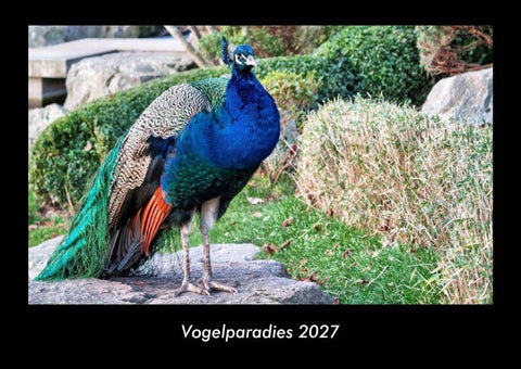 Vogelparadies 2027 Fotokalender DIN A3