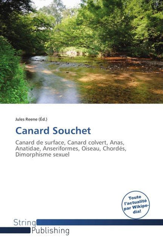 Canard Souchet