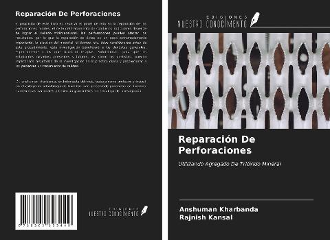 Reparación De Perforaciones