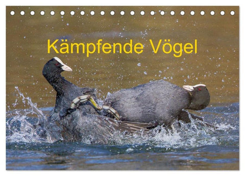 Kämpfende Vögel (Tischkalender 2026 DIN A5 quer), CALVENDO Monatskalender