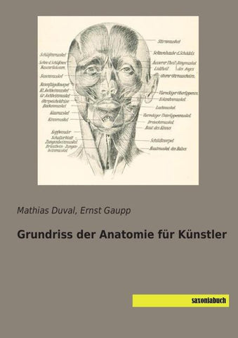 Grundriss der Anatomie für Künstler
