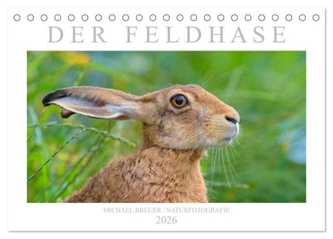 Der Feldhase (Tischkalender 2026 DIN A5 quer), CALVENDO Monatskalender