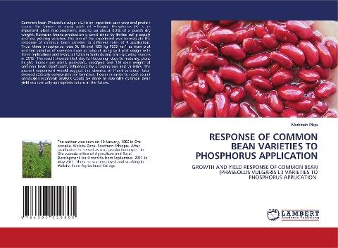 RESPONSE OF COMMON BEAN VARIETIES TO PHOSPHORUS APPLICATION