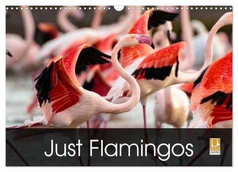 Just Flamingos (Wall Calendar 2026 DIN A3 landscape), CALVENDO 12 Month Wall Calendar