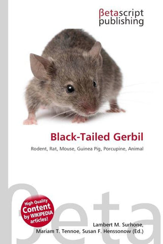 Black-Tailed Gerbil