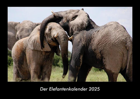 Der Elefantenkalender 2025 Fotokalender DIN A3
