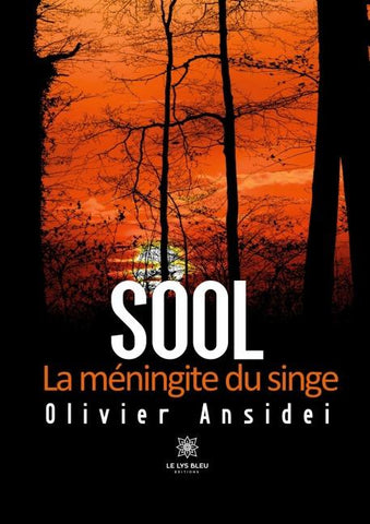 Sool