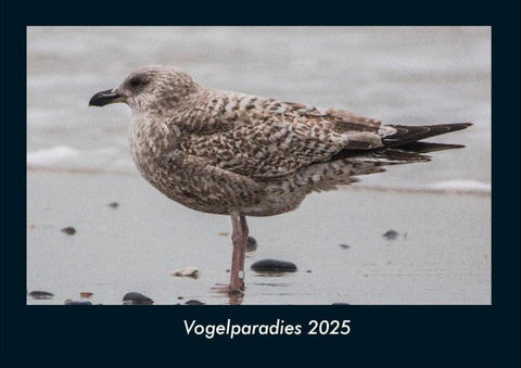 Vogelparadies 2025 Fotokalender DIN A4