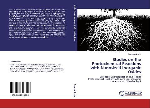 Studies on the Photochemical Reactions with Nanosized Inorganic Oxides