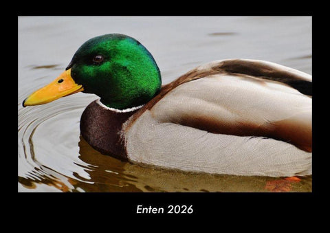 Enten 2026 Fotokalender DIN A3
