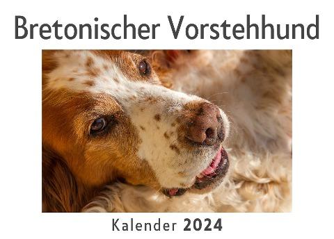 Bretonischer Vorstehhund (Wandkalender 2024, Kalender DIN A4 quer, Monatskalender im Querformat mit Kalendarium, Das perfekte Geschenk)