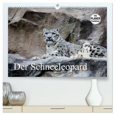 Der Schneeleopard (hochwertiger Premium Wandkalender 2026 DIN A2 quer), Kunstdruck in Hochglanz