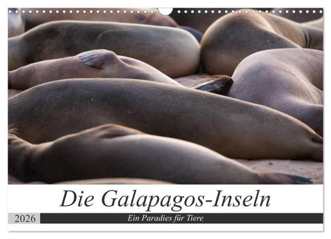 Galapagos-Inseln - Ein Paradies für Tiere (Wandkalender 2026 DIN A3 quer), CALVENDO Monatskalender