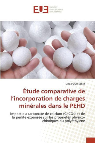 Étude comparative de l'incorporation de charges minérales dans le PEHD