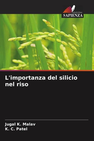 L'importanza del silicio nel riso