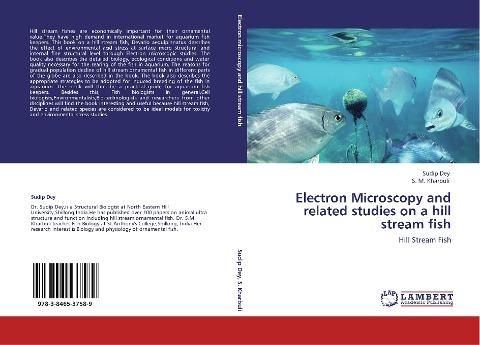 Electron Microscopy and related studies on a hill stream fish