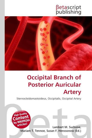 Occipital Branch of Posterior Auricular Artery