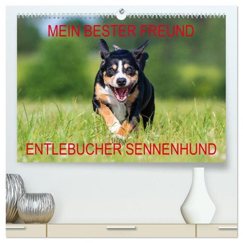 Mein bester Freund - Entlebucher Sennenhund (hochwertiger Premium Wandkalender 2026 DIN A2 quer), Kunstdruck in Hochglanz