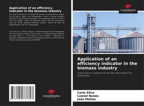 Application of an efficiency indicator in the biomass industry