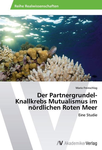 Der Partnergrundel-Knallkrebs Mutualismus im nördlichen Roten Meer