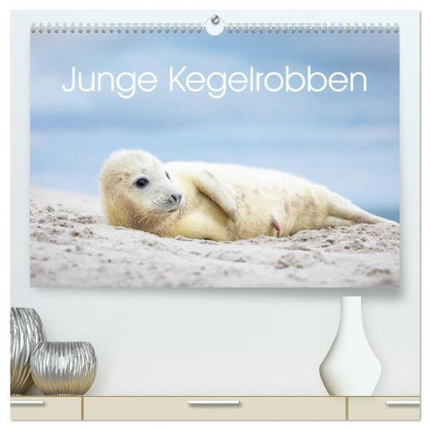 Junge Kegelrobben (hochwertiger Premium Wandkalender 2026 DIN A2 quer), Kunstdruck in Hochglanz