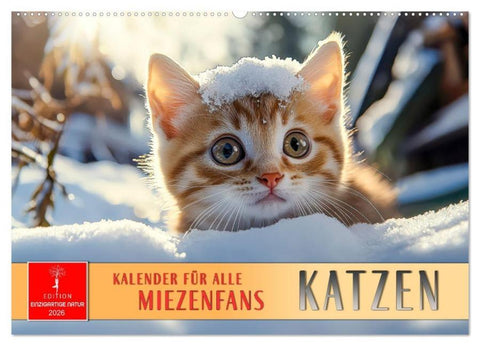 Katzen - Kalender für alle Miezenfans (Wandkalender 2026 DIN A2 quer), CALVENDO Monatskalender