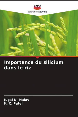 Importance du silicium dans le riz