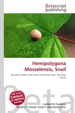 Hemipolygona Mosselensis, Snail