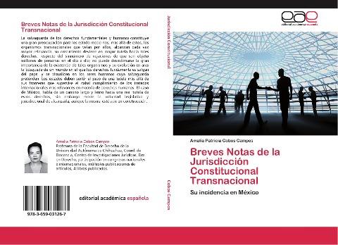 Breves Notas de la Jurisdicción Constitucional Transnacional