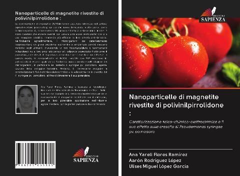 Nanoparticelle di magnetite rivestite di polivinilpirrolidone :