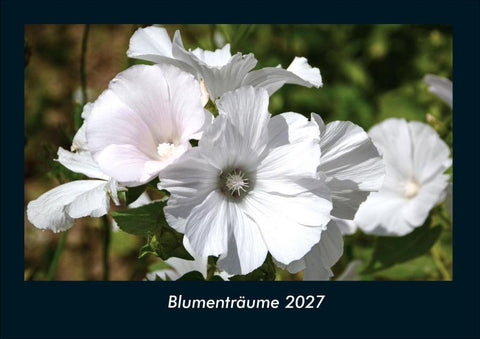 Blumenträume 2027 Fotokalender DIN A4