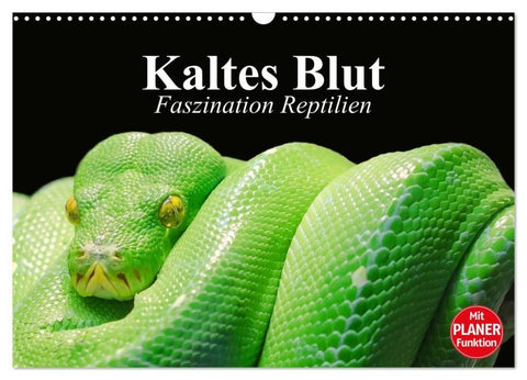 Kaltes Blut. Faszination Reptilien (Wandkalender 2026 DIN A3 quer), CALVENDO Monatskalender