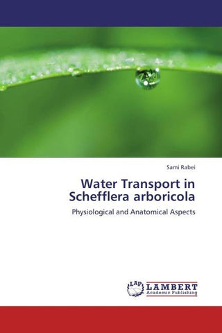 Water Transport in Schefflera arboricola