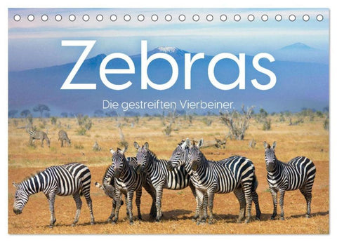 Zebras - Die gestreiften Vierbeiner. (Tischkalender 2026 DIN A5 quer), CALVENDO Monatskalender