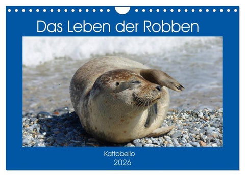 Das Leben der Robben (Wandkalender 2026 DIN A4 quer), CALVENDO Monatskalender
