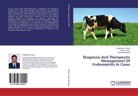 Diagnosis And Therapeutic Management Of Endometritis In Cows