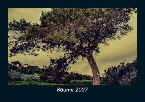 Bäume 2027 Fotokalender DIN A5