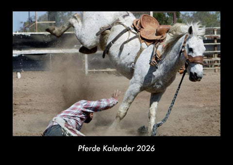 Pferde Kalender 2026 Fotokalender DIN A3