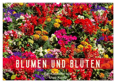 Blumen und Blüten (Wandkalender 2026 DIN A2 quer), CALVENDO Monatskalender