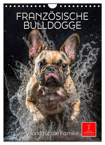 Französische Bulldogge - ein Hund für die Familie (Wandkalender 2026 DIN A4 hoch), CALVENDO Monatskalender