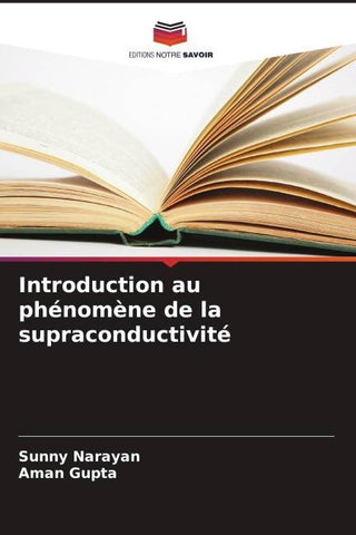 Introduction au phénomène de la supraconductivité