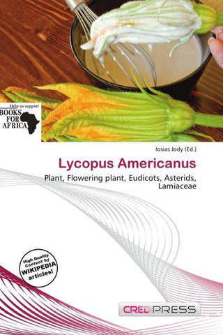 Lycopus Americanus