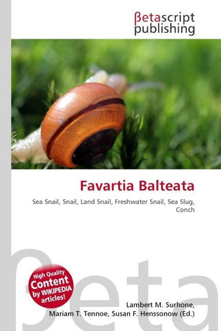 Favartia Balteata