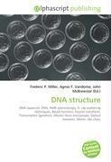 DNA structure