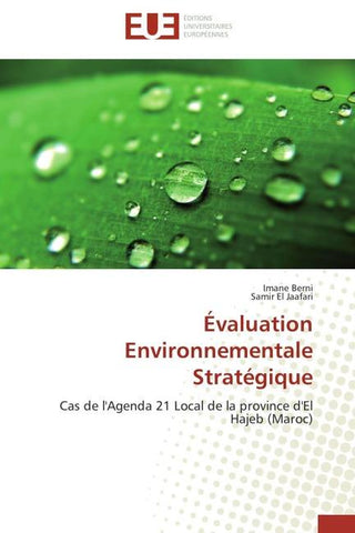 Évaluation Environnementale Stratégique