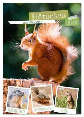 Hörnchen aus aller Welt (Wandkalender 2026 DIN A3 hoch), CALVENDO Monatskalender