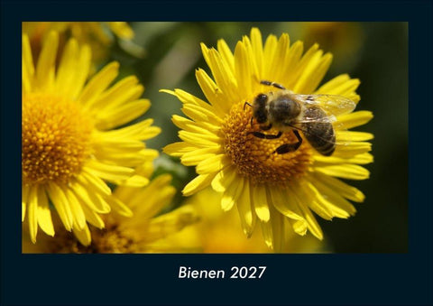 Bienen 2027 Fotokalender DIN A4
