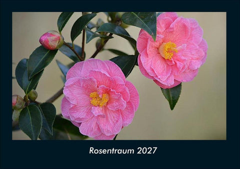 Rosentraum 2027 Fotokalender DIN A4